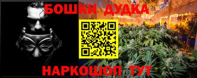 PSILOCYBIN Новозыбков