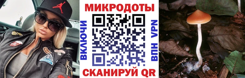 мега   Унеча  Псилоцибиновые грибы MAGIC MUSHROOMS  закладки 