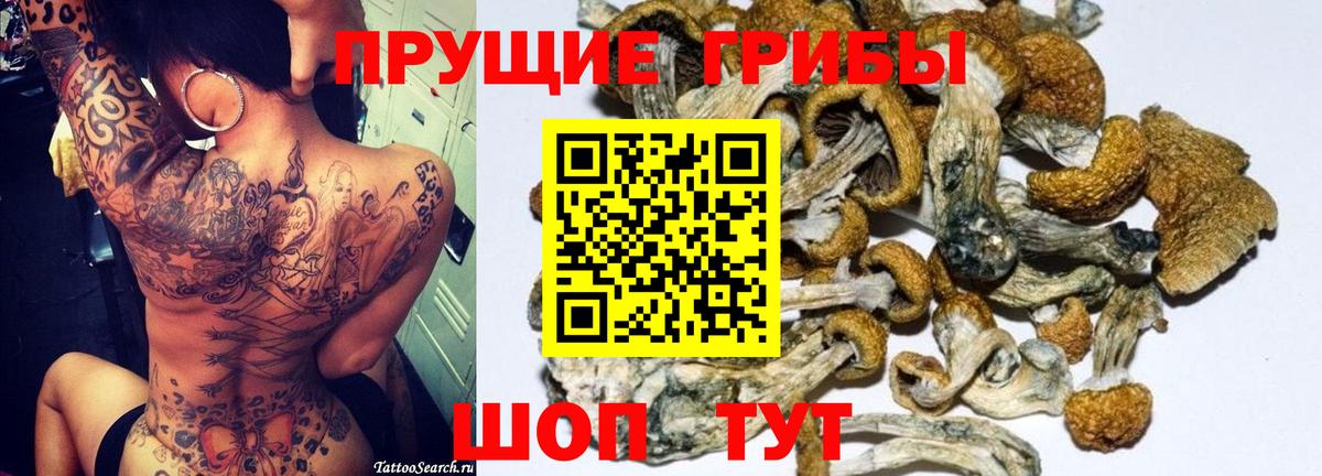 Псилоцибиновые грибы мицелий Унеча
