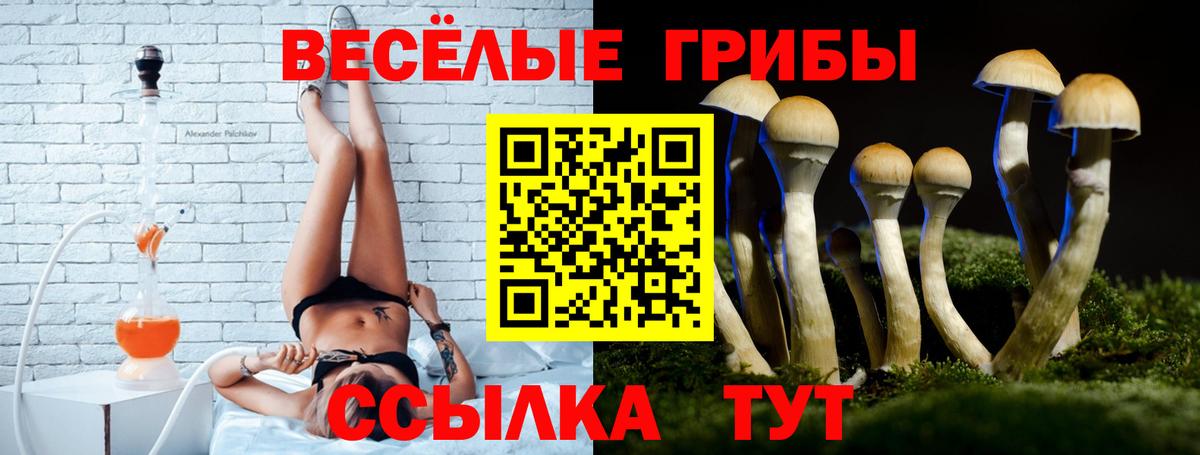 Галлюциногенные грибы MAGIC MUSHROOMS  Вход с VPN  Псилоцибиновые грибы Magic Shrooms  Унеча 